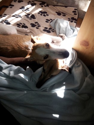 Samsung pics 1 054 cropped