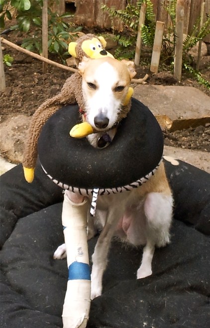 millie and her monkey.jpg