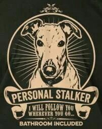 personal stalker