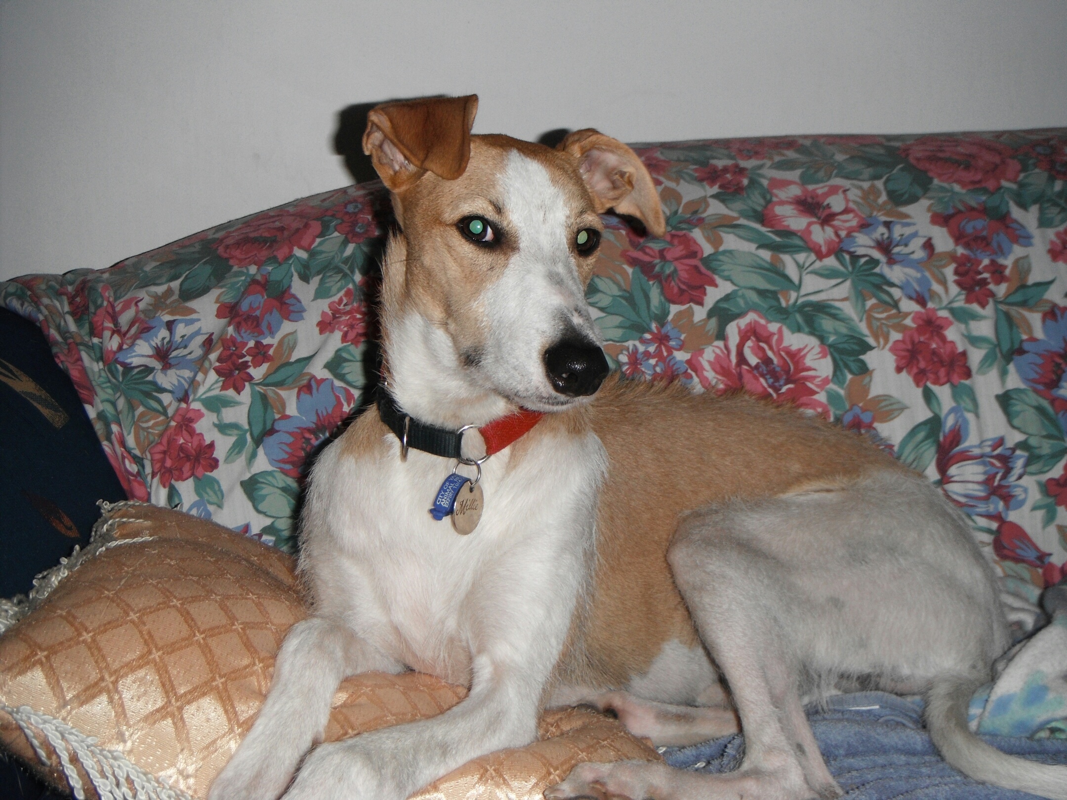 march-2012-061_resized